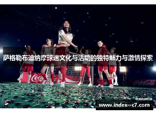 萨格勒布迪纳摩球迷文化与活动的独特魅力与激情探索