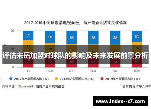 评估宋岳加盟对球队的影响及未来发展前景分析