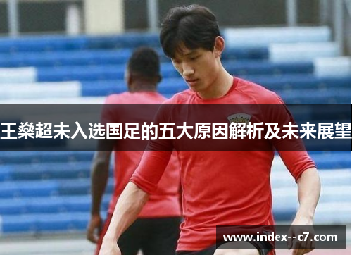 王燊超未入选国足的五大原因解析及未来展望