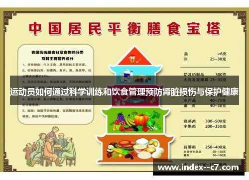 运动员如何通过科学训练和饮食管理预防肾脏损伤与保护健康 运动员如何通过科学训练和饮食管理预防肾脏损伤与保护健康