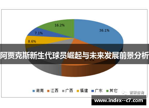 阿贾克斯新生代球员崛起与未来发展前景分析 阿贾克斯新生代球员崛起与未来发展前景分析