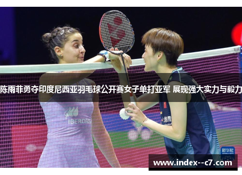 陈雨菲勇夺印度尼西亚羽毛球公开赛女子单打亚军 展现强大实力与毅力 陈雨菲勇夺印度尼西亚羽毛球公开赛女子单打亚军 展现强大实力与毅力