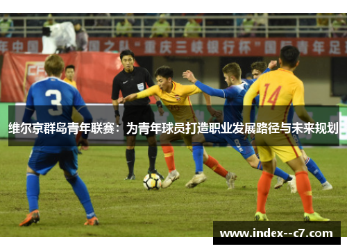维尔京群岛青年联赛：为青年球员打造职业发展路径与未来规划