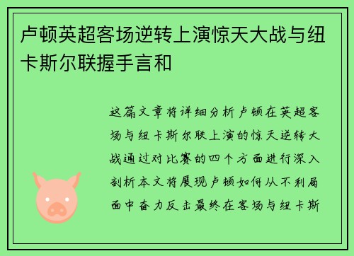 卢顿英超客场逆转上演惊天大战与纽卡斯尔联握手言和 卢顿英超客场逆转上演惊天大战与纽卡斯尔联握手言和