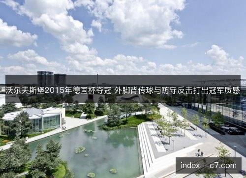 沃尔夫斯堡2015年德国杯夺冠 外脚背传球与防守反击打出冠军质感 沃尔夫斯堡2015年德国杯夺冠 外脚背传球与防守反击打出冠军质感